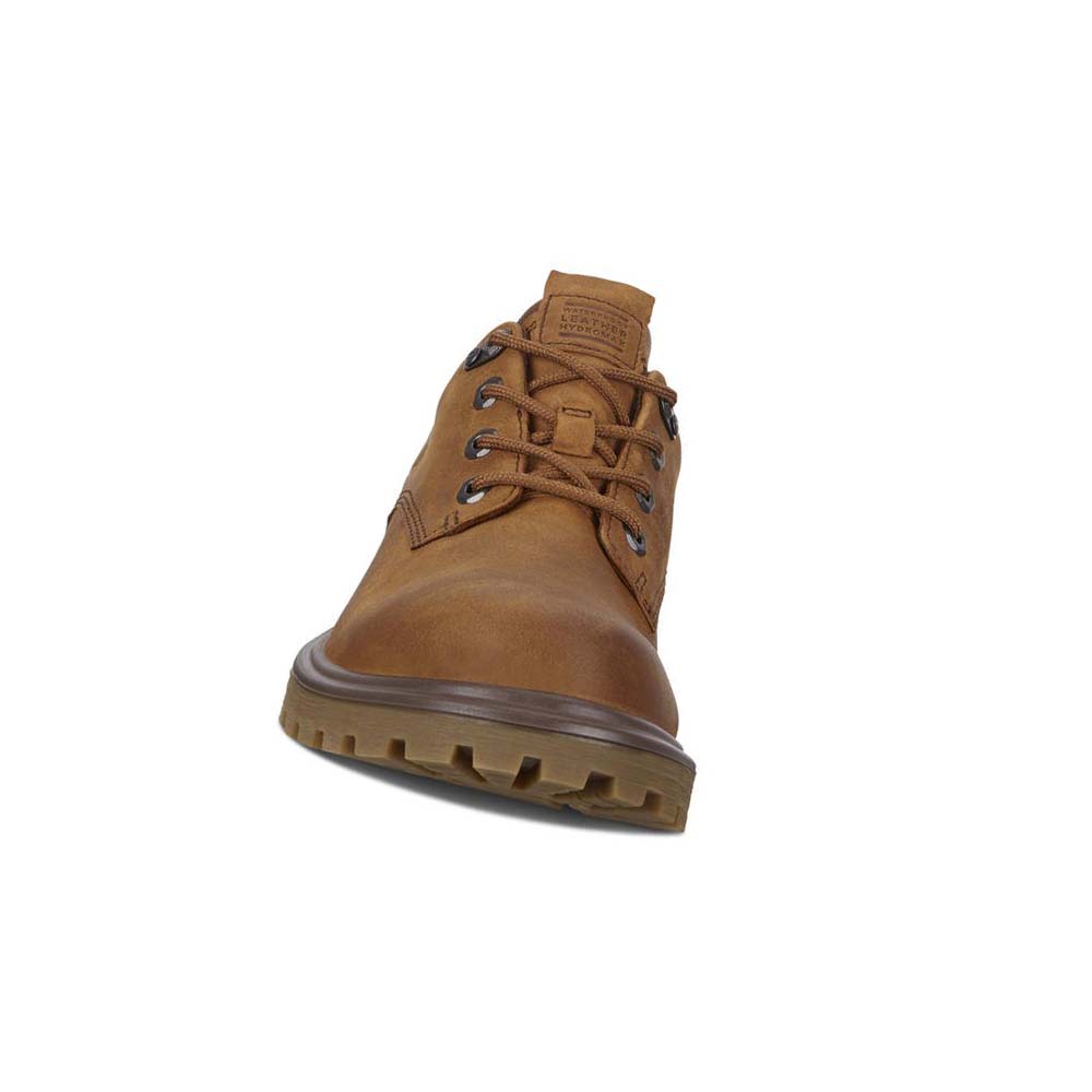 Men's Ecco Tredtray Hiking & Trail Brown | SG 575PJJ